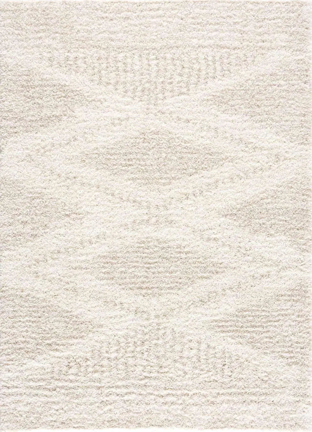6'7" X 9' Farmhouse Boho Shag Rug
